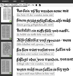 Individual lines with their corresponding OCR results.